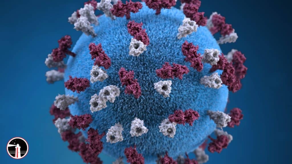 breaking news: public health confirms measles case in launceston