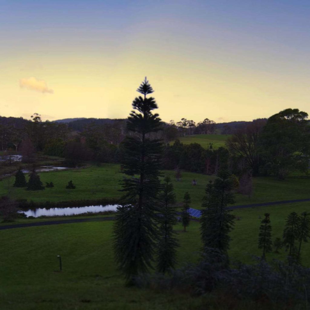 Scenic view of the Tasmanian Arboretum in Devonport, Australia